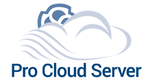 Pro Cloud Server Team Server 
